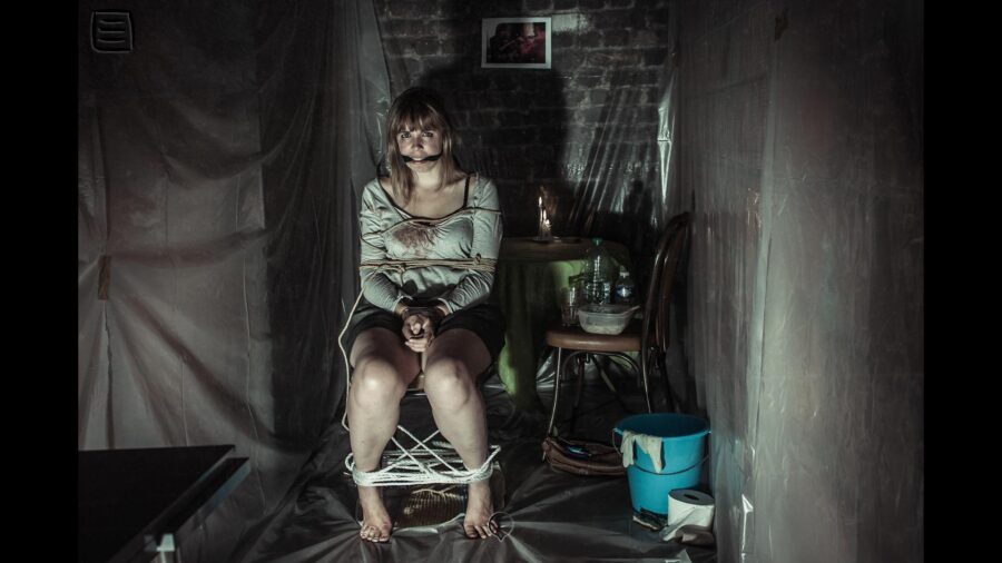 The Fan recenze 1